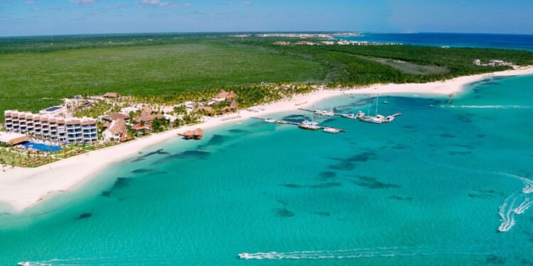 Alerta por Cyclospora: concluyen inspecciones en Riviera Maya y Guanajuato. ¿Qué encontraron?