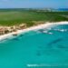 Alerta por Cyclospora: concluyen inspecciones en Riviera Maya y Guanajuato. ¿Qué encontraron?