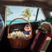 ¿Quién deja 400 tacos en un Uber? Cancún ya está entre las ciudades más despistadas de México