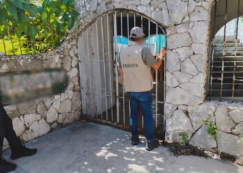 Profepa busca grandes felinos en Cancún; le niegan acceso a predio de la zona hotelera