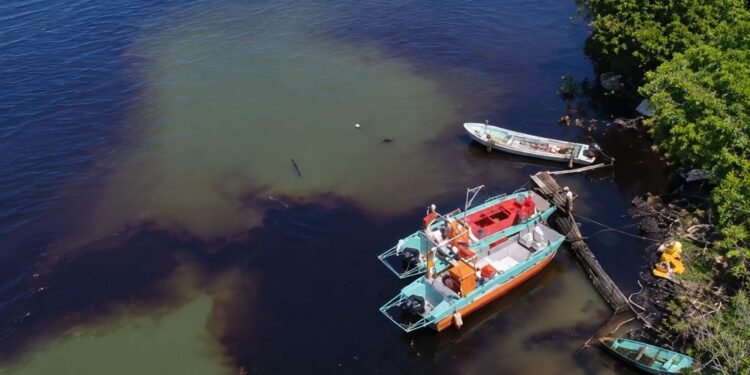 ¿Contaminación en el río Pánuco? Investigan descargas oscuras junto a Refinería Madero