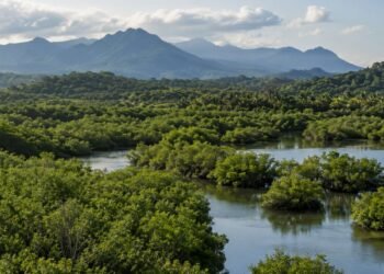 México fija 10 acciones para frenar la deforestación y proteger sus ecosistemas