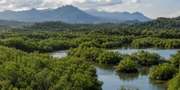 México fija 10 acciones para frenar la deforestación y proteger sus ecosistemas