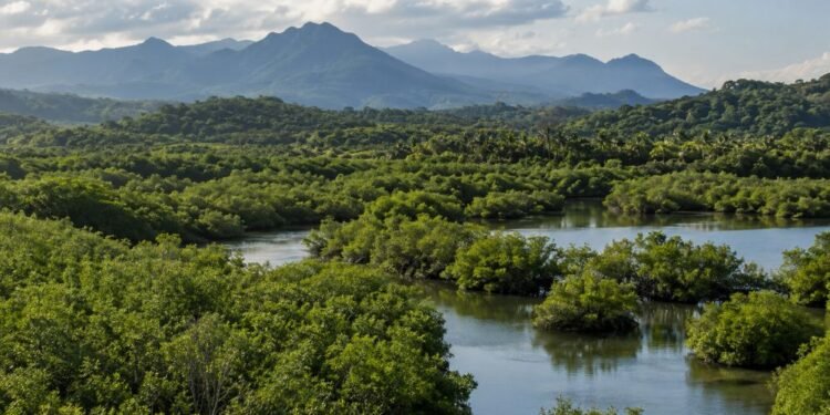 México fija 10 acciones para frenar la deforestación y proteger sus ecosistemas