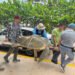 ¡Ahora lucha por recuperarse! Rescatan tortuga marina lesionada en Cancún