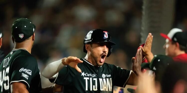 Serie del Rey 2026: Toros de Tijuana y Olmecas de Tabasco van por la corona de la LMB