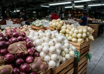 ¡Golpe al bolsillo! Cancún entra al top de ciudades más caras de agosto; huevo y cebolla siguen por las nubes