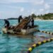 Presupuesto 2027 destina mil 866 mdp al combate del sargazo en playas del estado