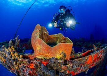 ¿Viajas a Quintana Roo con equipo de buceo? Buscan facilitar su paso por Aduanas