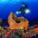 ¿Viajas a Quintana Roo con equipo de buceo? Buscan facilitar su paso por Aduanas