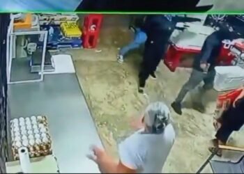 Asalto en Cancún: hombres armados someten a empleados de una tortillería