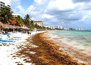 “Septihambre” se deja sentir en el Caribe mexicano. En picada la llegada de turistas