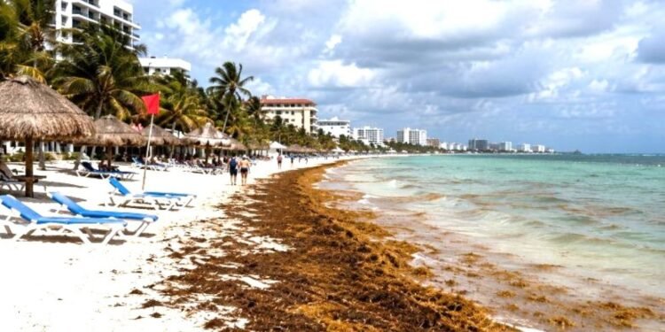 “Septihambre” se deja sentir en el Caribe mexicano. En picada la llegada de turistas