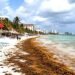 “Septihambre” se deja sentir en el Caribe mexicano. En picada la llegada de turistas