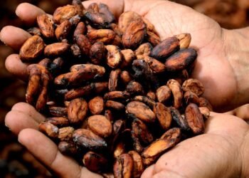 Creías conocer el chocolate, pero estos cinco datos cambiarán la forma de saborearlo