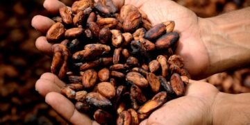 Creías conocer el chocolate, pero estos cinco datos cambiarán la forma de saborearlo