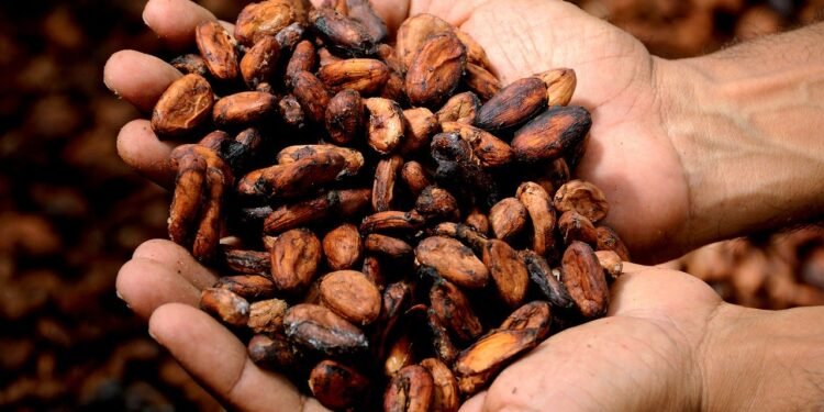 Creías conocer el chocolate, pero estos cinco datos cambiarán la forma de saborearlo