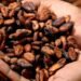 Creías conocer el chocolate, pero estos cinco datos cambiarán la forma de saborearlo