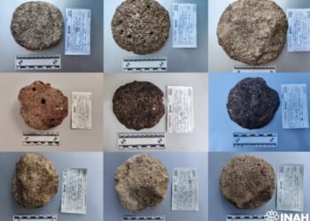 ¿Cómo criaban abejas los mayas? Este hallazgo en Tulum busca responderlo
