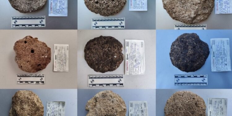 ¿Cómo criaban abejas los mayas? Este hallazgo en Tulum busca responderlo