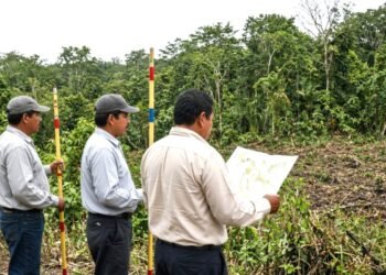 Expropian casi 20 hectáreas en Polyuc para obras del Tren Maya y la CFE