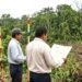 Expropian casi 20 hectáreas en Polyuc para obras del Tren Maya y la CFE