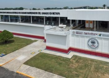 Planta contra el gusano barrenador vuelve a operar: ¿qué acordaron con los pobladores?