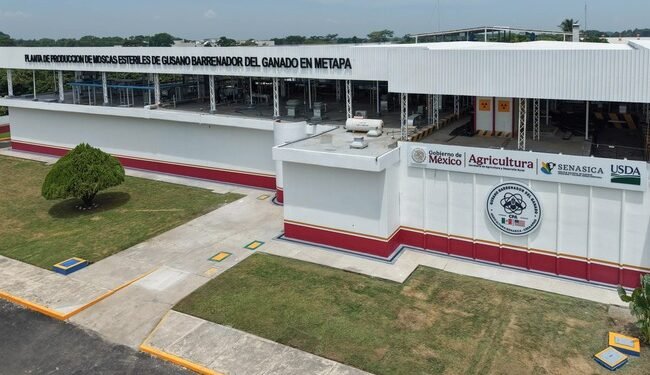 Planta contra el gusano barrenador vuelve a operar: ¿qué acordaron con los pobladores?