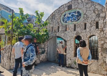 ¿Dónde está el jaguar? Profepa llega a predios de Cancún y no logra revisar uno