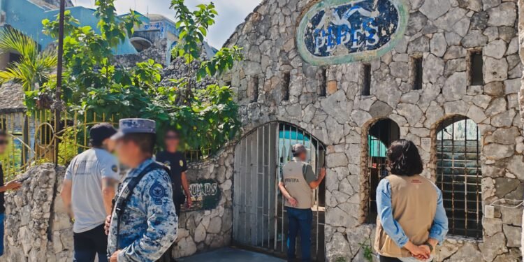 ¿Dónde está el jaguar? Profepa llega a predios de Cancún y no logra revisar uno