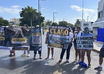 ¡Cierran la Zona Hotelera por los nueve delfines! Exigen que los saquen de las albercas