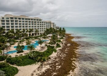 Hoteles de Riviera Maya ofrecen garantías por sargazo