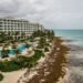 Hoteles de Riviera Maya ofrecen garantías por sargazo