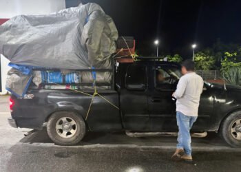 Transportaba 101 sacos de carbón sin documentos: Profepa los asegura en Cancún