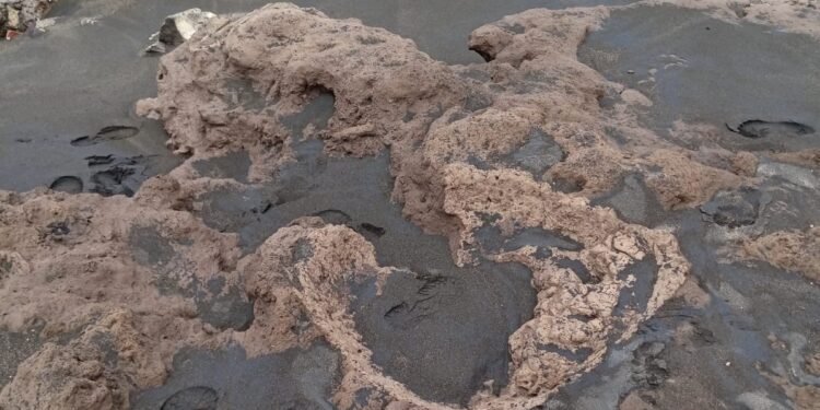 ¿Quiénes habitaron esta costa? El mar deja al descubierto pistas de antiguas civilizaciones