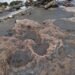 ¿Quiénes habitaron esta costa? El mar deja al descubierto pistas de antiguas civilizaciones