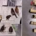 Un “bulto” levantó sospechas: pasajero llevaba 10 aves vivas ocultas en su ropa interior