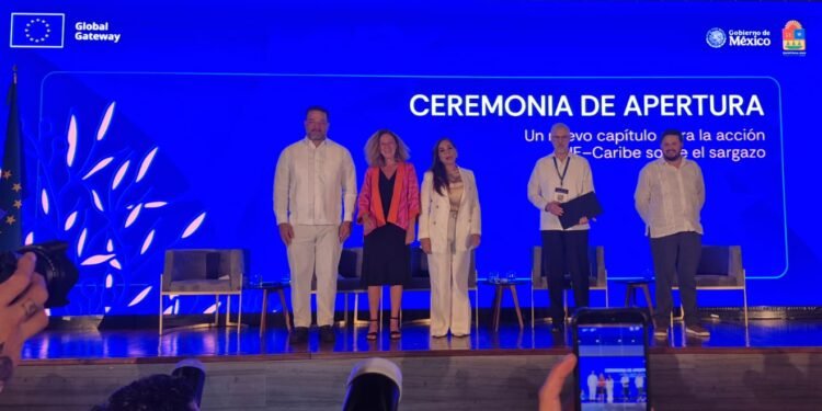 Sargazo desborda Quintana Roo: récord histórico obliga a combatirlo mar adentro
