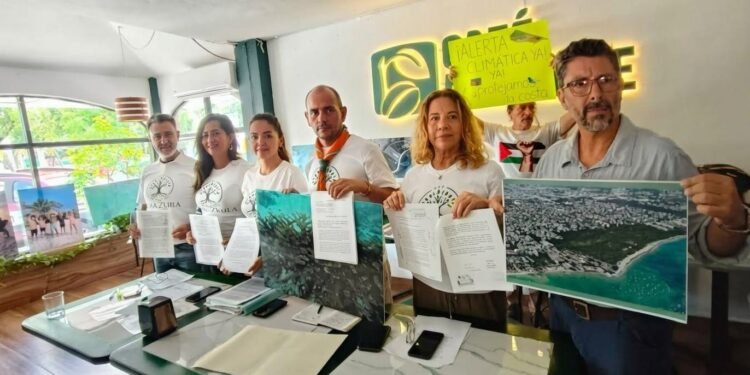 Ambientalistas exigen proteger el predio Chen Zubul en Playa del Carmen