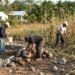 El campo en Quintana Roo se queda sin manos: 200 campesinos cuelgan el azadón
