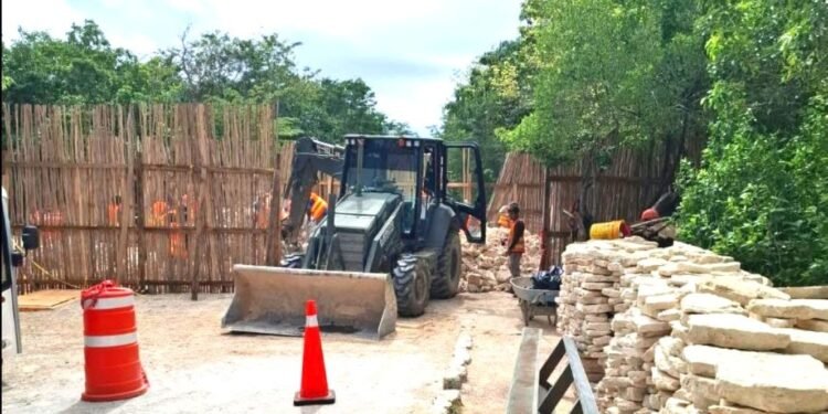 Tiran en Tulum el muro del acceso al Jaguar y reabren el camino a las ruinas