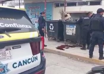 ¡Alerta en Paraíso Maya! Ven un enorme charco rojo y descubren algo inesperado