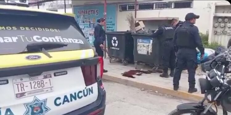 ¡Alerta en Paraíso Maya! Ven un enorme charco rojo y descubren algo inesperado