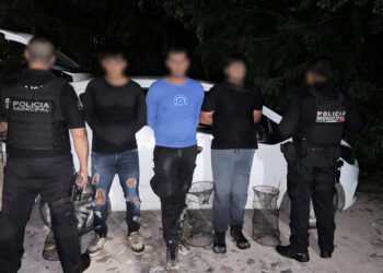 La encontraron herida: el caso de la tortuga casquito que encendió la alerta ambiental