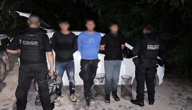 La encontraron herida: el caso de la tortuga casquito que encendió la alerta ambiental
